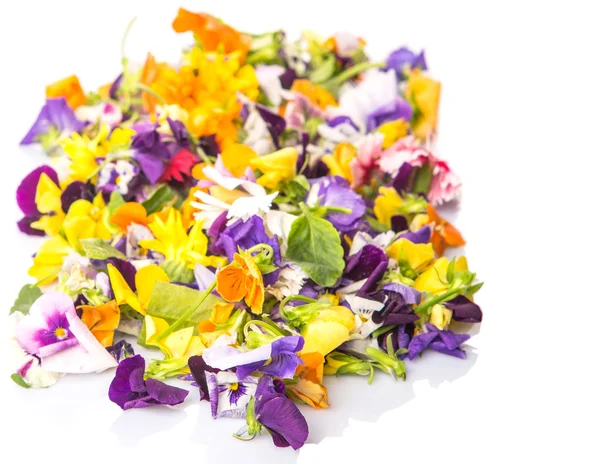 Mix Edible Flower Salad White Background — Stock Photo, Image