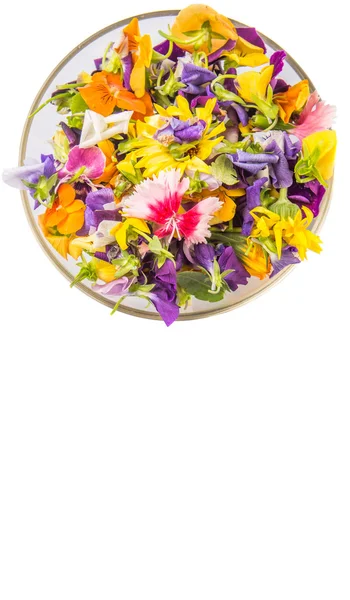 Mix Edible Flower Salad Glass Bowl White Background — Stock Photo, Image