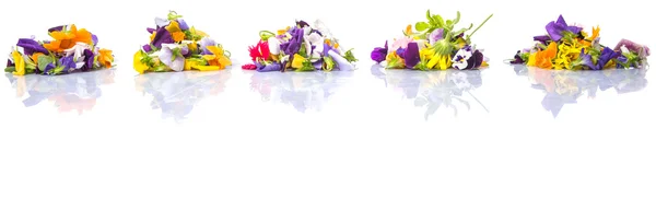 Mix Edible Flower Salad White Background — Stock Photo, Image