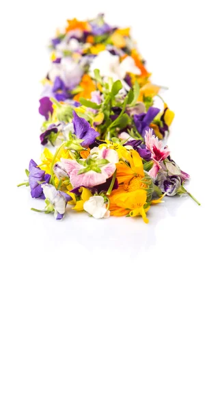 Mix Edible Flower Salad White Background — Stock Photo, Image