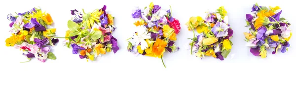 Mix Edible Flower Salad — Stock Photo, Image