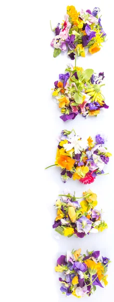 Mix Edible Flower Salad White Background — Stock Photo, Image