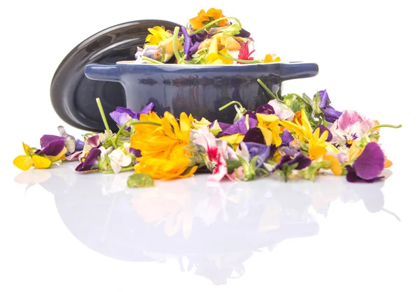 Mix Edible Flower Salad — Stock Photo, Image