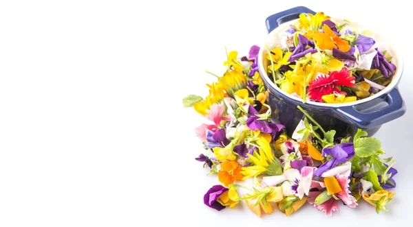 Mix Edible Flower Salad — Stock Photo, Image