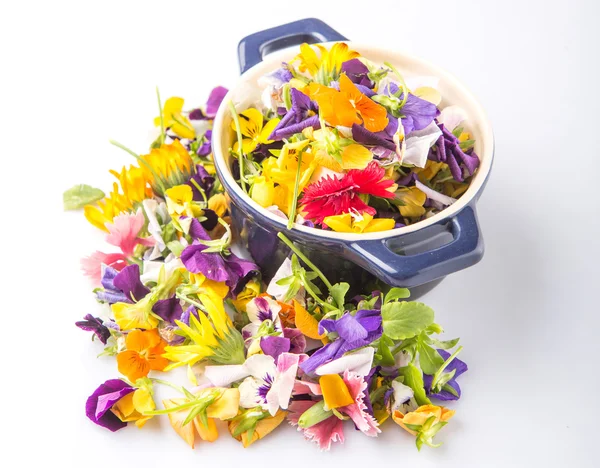 Mezcla ensalada de flores comestibles — Foto de Stock