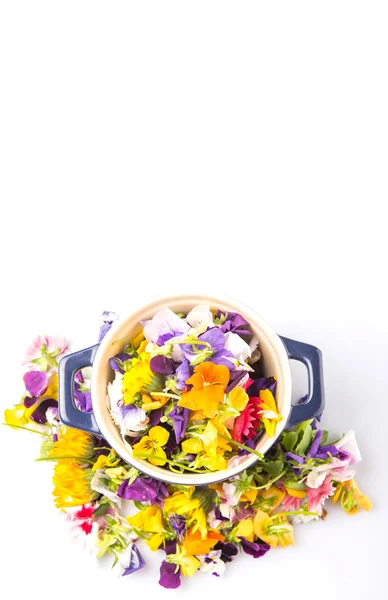 Mix Edible Flower Salad Blue Single Pot White Background — Stock Photo, Image