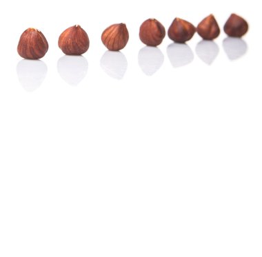 Beyaz arka plan üzerinde fındık