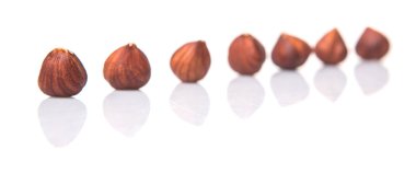 Beyaz arka plan üzerinde fındık