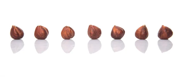 Hazelnut Nut — Stock Photo, Image