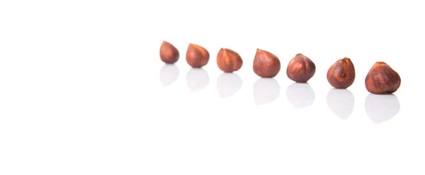Hazelnut Nut — Stock Photo, Image