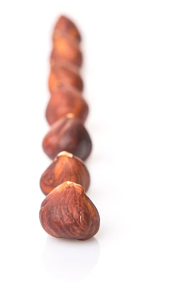 Hazelnut Nut — Stock Photo, Image