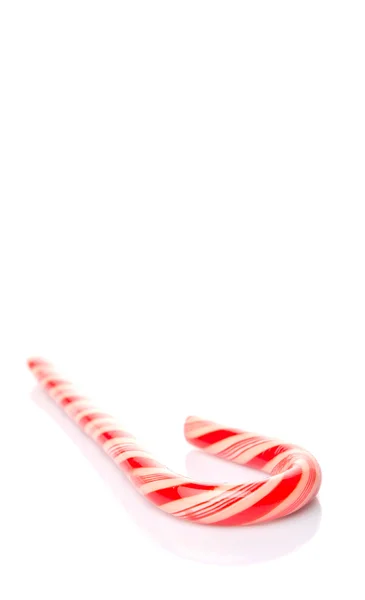 圣诞红和白色糖果棒 — 图库照片