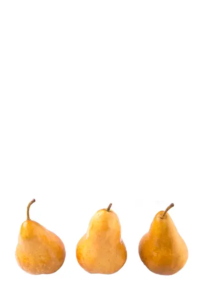 Bosc Pear Fruit — Stock Photo, Image