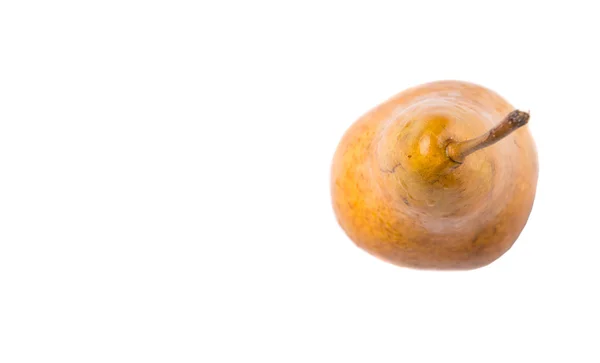 Bosc Pear Vruchten Witte Achtergrond — Stockfoto