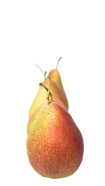 South African Forelle Pear Fruit White Background — Stock Photo, Image