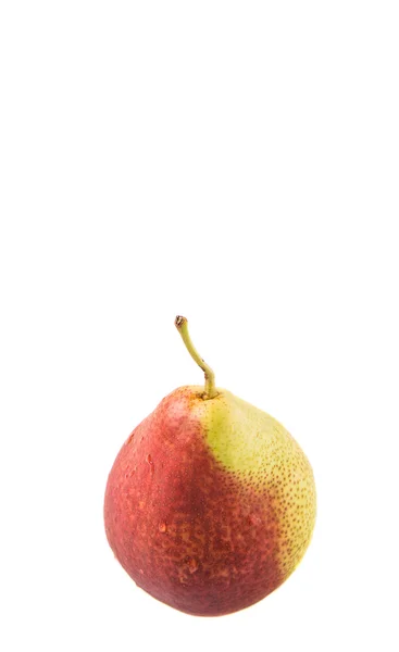 Zuid Afrikaanse Forelle Pear Vruchten Witte Achtergrond — Stockfoto