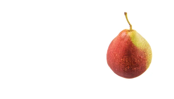 África Sul Prepúcio Pêra Fruta Sobre Fundo Branco — Fotografia de Stock