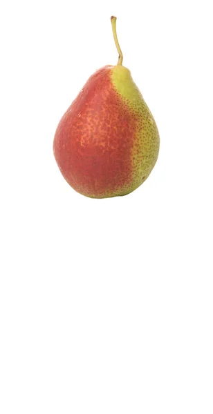 Forelle Pear Fruit — Stockfoto