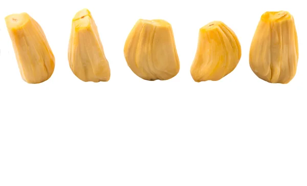 Exotische nangka — Stockfoto