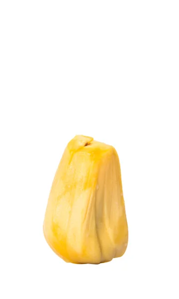 Exotic Jackfruit — Stock Photo, Image