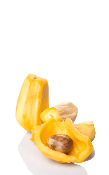 Exotic Jackfruit — Stock Photo, Image