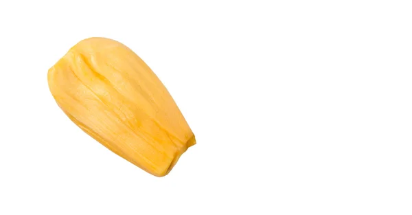 Exotic Jackfruit White Background — Stock Photo, Image