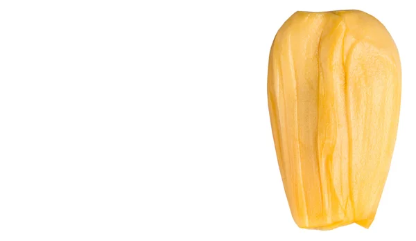 Exotic Jackfruit — Stock Photo, Image