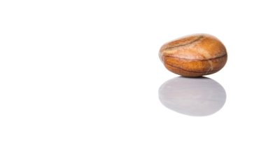 Nefesi bitki tohum beyaz arka plan üzerinde