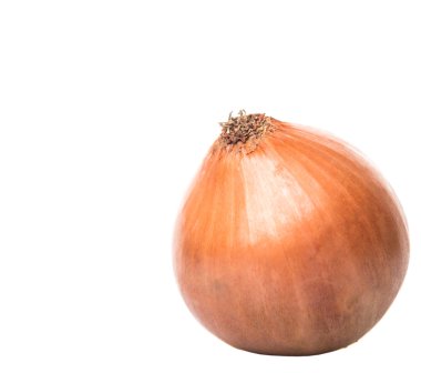 Hollandalı sarı soğan