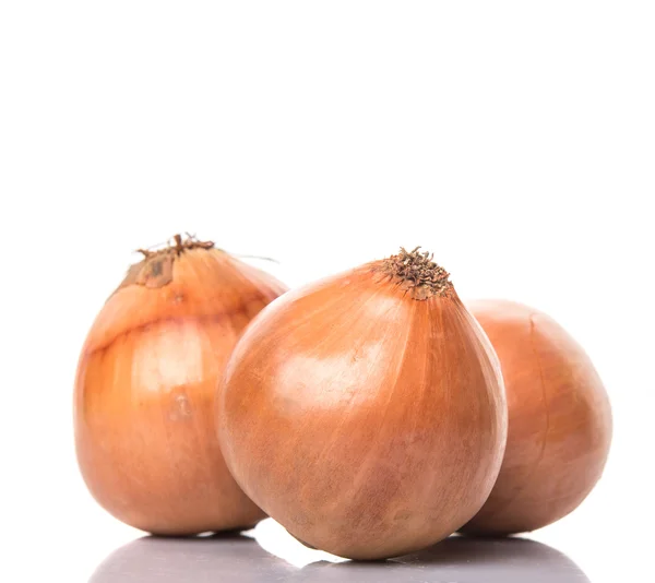 Nederlandse gele uien — Stockfoto