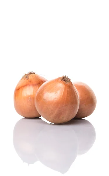 Dutch Yellow Onions — Stock Photo, Image