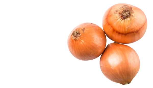 Nederlandse gele uien — Stockfoto