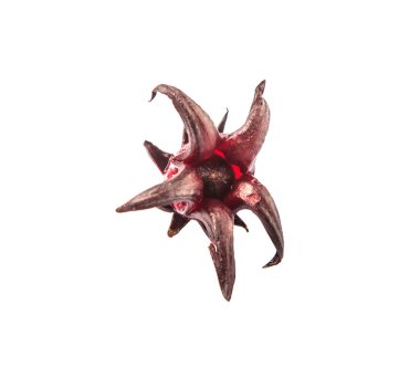 Roselle meyve beyaz arka plan üzerinde