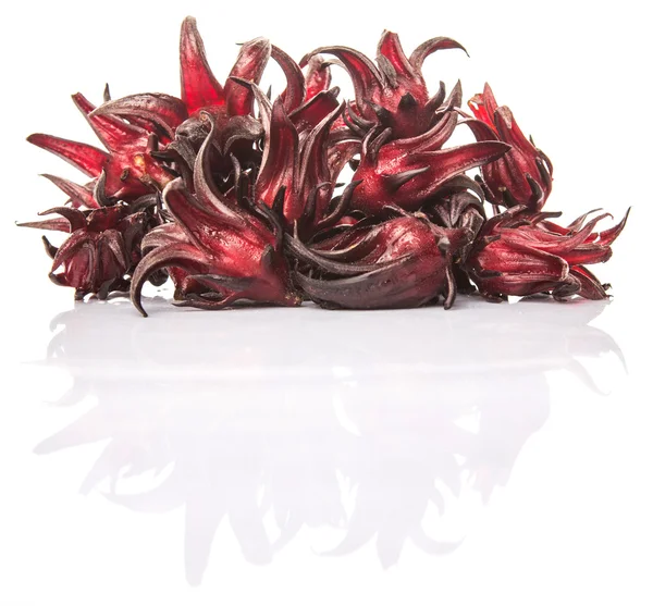 Roselle Fruit White Background — Stock Photo, Image