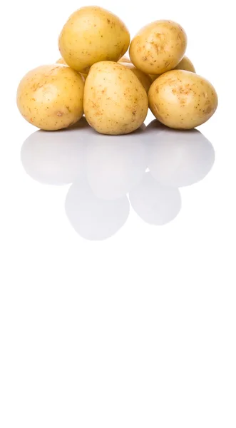 Bebek patates — Stok fotoğraf