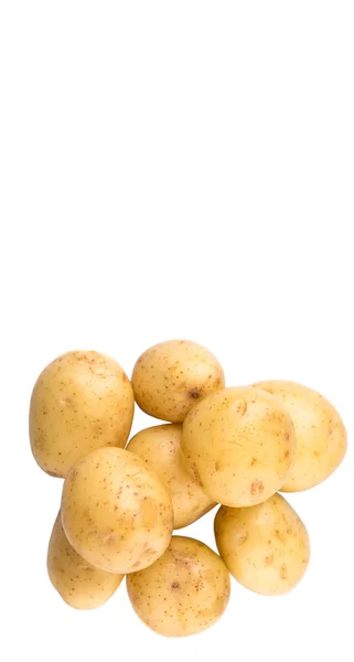 Детский картофель — стоковое фото