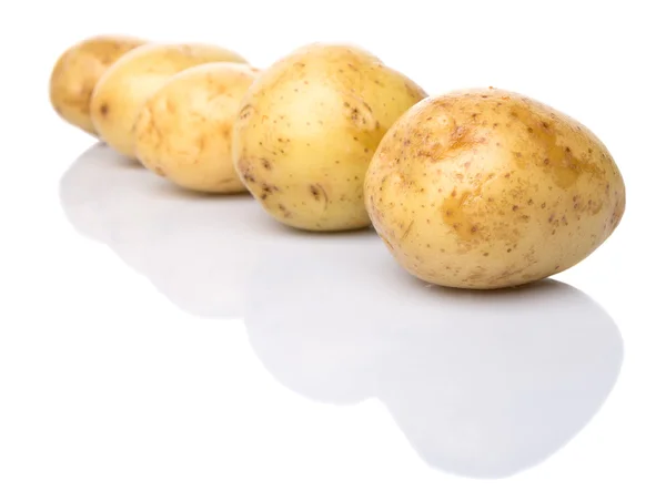 Ziemniaków dziecka — Zdjęcie stockowe