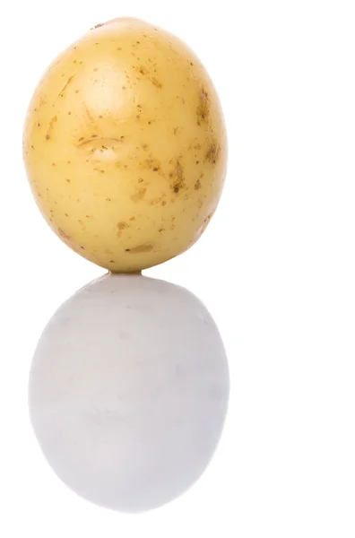 Batatas Bebê Sobre Fundo Branco — Fotografia de Stock