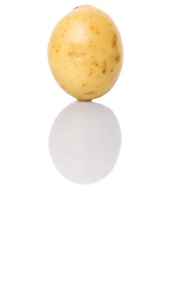 Дитяча Картопля Білому Тлі — стокове фото