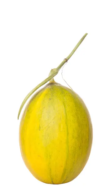 Malaiische Hybrid-Himmlische Melone — Stockfoto