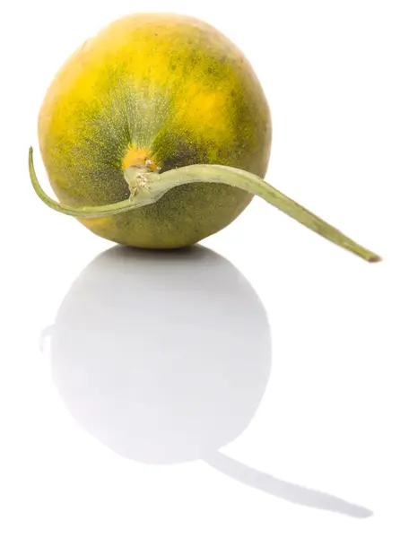 Malaiische Hybrid-Himmlische Melone — Stockfoto