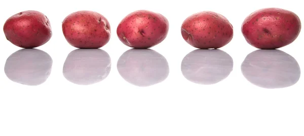 Red Potato — Stock Photo, Image