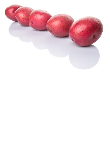 Red Potato — Stock Photo, Image