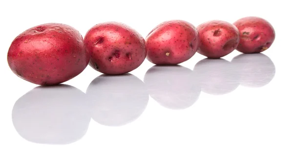 Red Potato — Stock Photo, Image