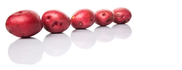 Pomme de terre rouge — Photo