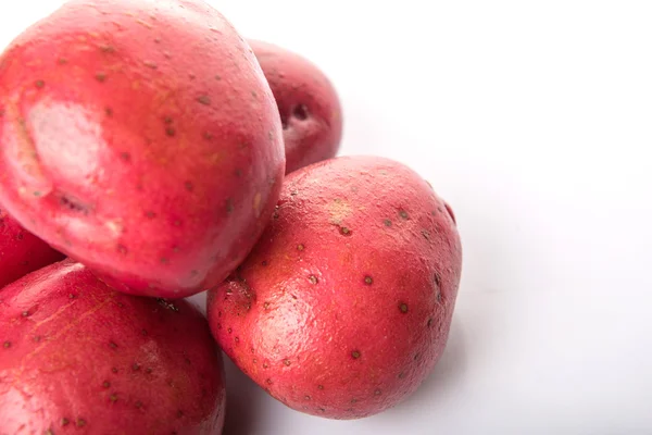 Red Potato — Stock Photo, Image