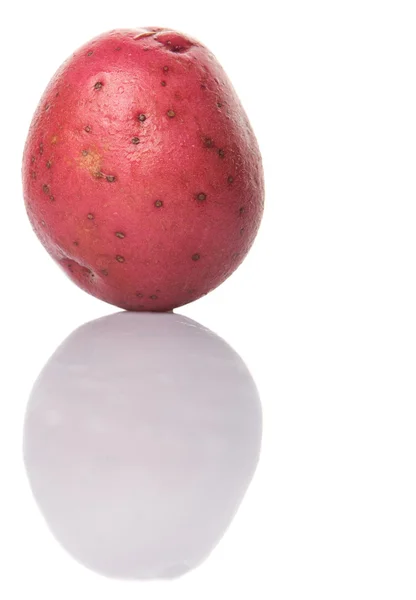 Red Potato — Stock Photo, Image