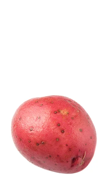 Червоний картопляний — стокове фото