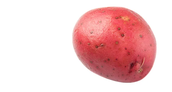 Rote Kartoffel — Stockfoto