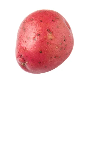 Röd potatis — Stockfoto